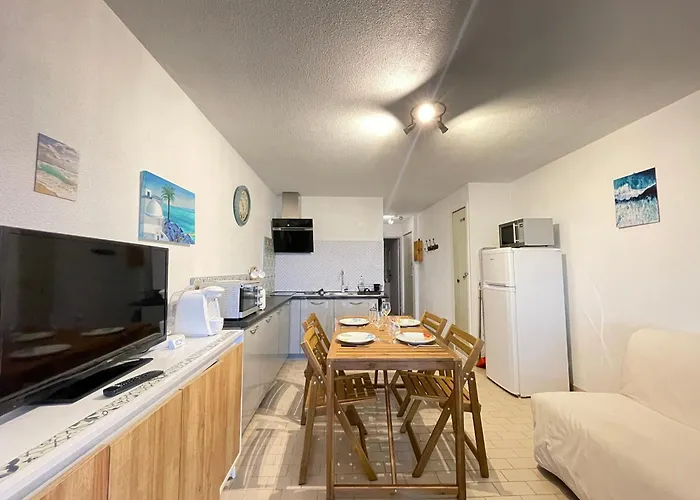 Superbe T2 A Sete - Face Mer, Loggia, Parking Prive, Proche Plage Et Commerces - Fr-1-338-518